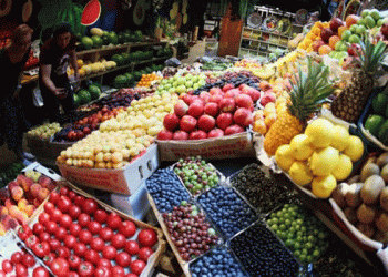 Uzbekistan Boosts Fruit and Vegetable Exports to Russia by 26%: A Look at Growing Trade Relations