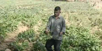 Profitable Summer Farming: Low Investment, High Returns with Beetroot Cultivation