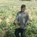 Profitable Summer Farming: Low Investment, High Returns with Beetroot Cultivation