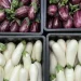 Fresh Innovations: Introducing Two New Eggplant Varieties