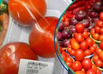 Tomato Scarcity in Nigeria Sparks Price Surge and Outrage