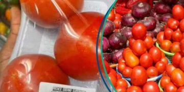 Tomato Scarcity in Nigeria Sparks Price Surge and Outrage
