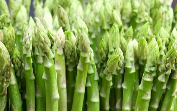 Michigan Asparagus Harvest Cut Short Due to Rising Labor Costs