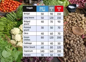 Challenges in Bengal’s Vegetable Sector: Impact of Weather and Logistics