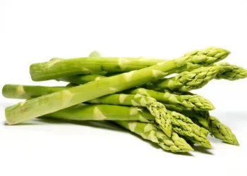 Michigan Asparagus Season Ends with Stable Market Conditions