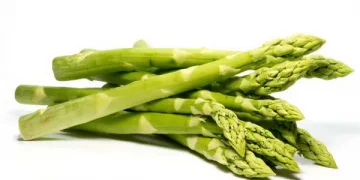Michigan Asparagus Season Ends with Stable Market Conditions
