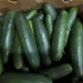 U.S. Salmonella Outbreak Linked to Cucumbers