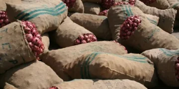 Navigating Opportunities: Pakistan’s Surging Onion Exports