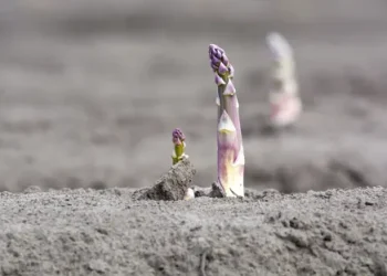 “It Was a Season of Extremes”