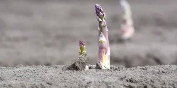 “It Was a Season of Extremes”