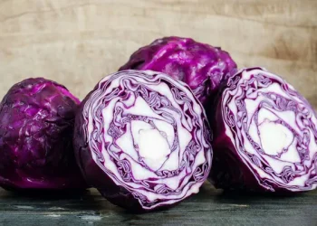 Exploring the Potential of Red Cabbage Juice in Managing Inflammatory Bowel Disease