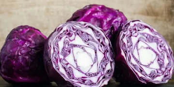 Exploring the Potential of Red Cabbage Juice in Managing Inflammatory Bowel Disease