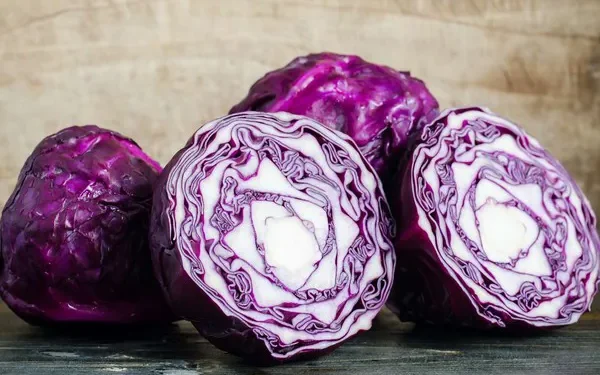 Exploring the Potential of Red Cabbage Juice in Managing Inflammatory Bowel Disease