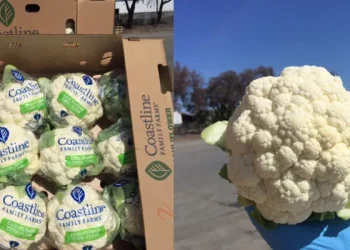 California’s Cauliflower and Broccoli Markets Face Price Fluctuations Amid Weather Challenges