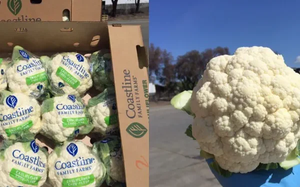 California’s Cauliflower and Broccoli Markets Face Price Fluctuations Amid Weather Challenges