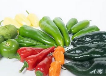 Hot Pepper Shortage Challenges Market Dynamics