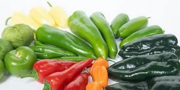 Hot Pepper Shortage Challenges Market Dynamics
