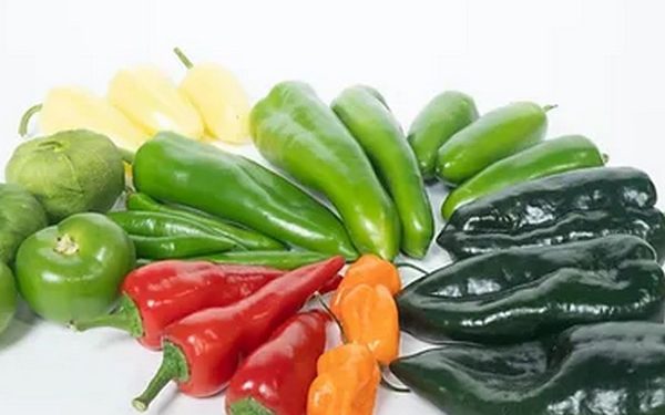 Hot Pepper Shortage Challenges Market Dynamics
