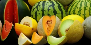 Kyrgyz Farmers Struggle to Sell Produce Due to Imports from Uzbekistan and Turkmenistan