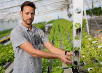 Tropical Fruit Produced in France Using Aquaponics and Residual Heat