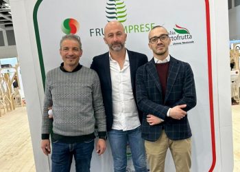 Hoping for Improvement in the Second Half of the Year for Carrots