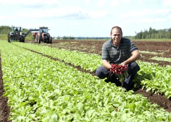 Meeting Seasonal Demand: Radish Outlook Leading Up to Canada Day and July 4th