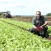 Meeting Seasonal Demand: Radish Outlook Leading Up to Canada Day and July 4th