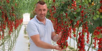 Italy: “Food is Partly a Necessity, Partly Pure Pleasure”