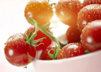 Tajikistan Leads the CIS in Organic Farming