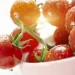 Tajikistan Leads the CIS in Organic Farming