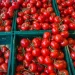 Tomato Traders Navigate High Prices Amidst Economic Challenges