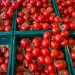 Israeli Ministry of Agriculture Boosts Tomato Production Amidst Supply Challenges