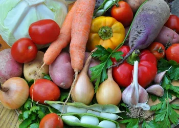 Growth and Export Opportunities: Mykolaiv Region Expands Vegetable Production