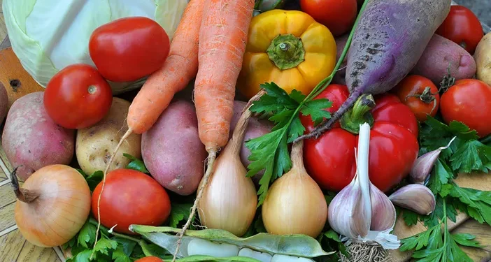 Growth and Export Opportunities: Mykolaiv Region Expands Vegetable Production