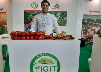 Expanding Horizons: Yigit’s Ambitious Growth in Tomato Production