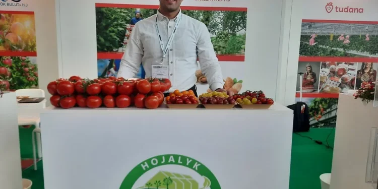 Expanding Horizons: Yigit’s Ambitious Growth in Tomato Production