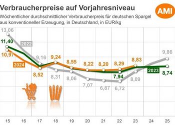 Weather Challenges and Market Dynamics: Asparagus Season 2024 Overview
