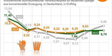Weather Challenges and Market Dynamics: Asparagus Season 2024 Overview