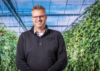 Strong Start for the Bell Pepper Season