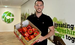 Bell Pepper Consumption Expected to Rise with Favorable Weather Forecast