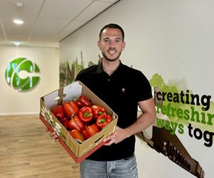 Bell Pepper Consumption Expected to Rise with Favorable Weather Forecast