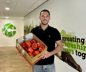 Combilo Projects Increase in Bell Pepper Consumption Amidst Favorable Weather Forecasts