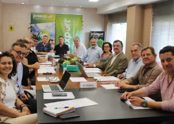 Steady Growth in Lettuce Exports Amid Varietal Diversification