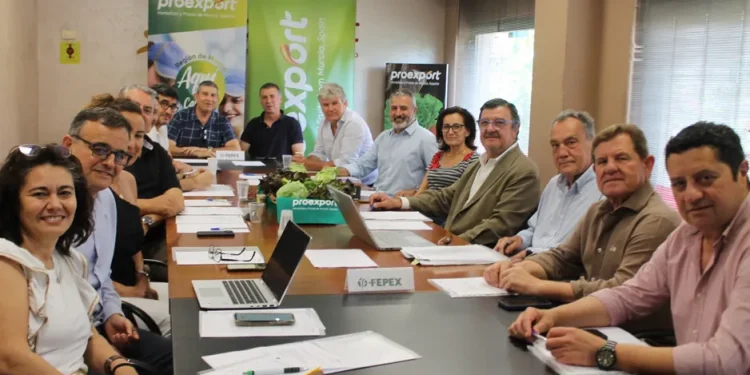 Steady Growth in Lettuce Exports Amid Varietal Diversification