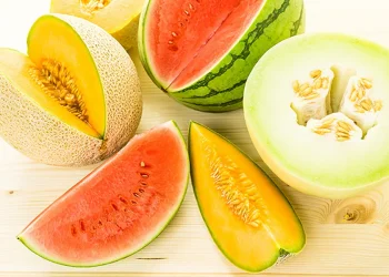 Watermelon and melon harvest forecasts for 2024: stability amid growth