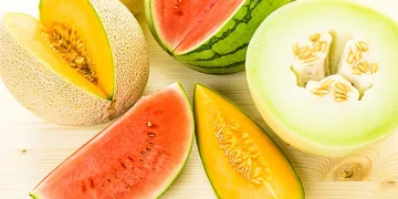 Watermelon and melon harvest forecasts for 2024: stability amid growth