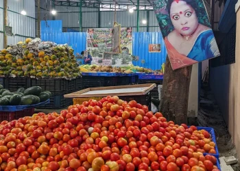 Unveiling Insights: The Dynamics of Viral Content in Agriculture