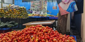 Unveiling Insights: The Dynamics of Viral Content in Agriculture