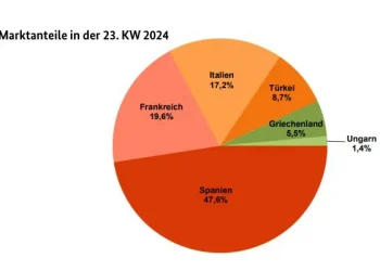 European Market Insights: Apricot Discounts and Diverse Fruit Trends