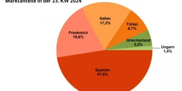 European Market Insights: Apricot Discounts and Diverse Fruit Trends